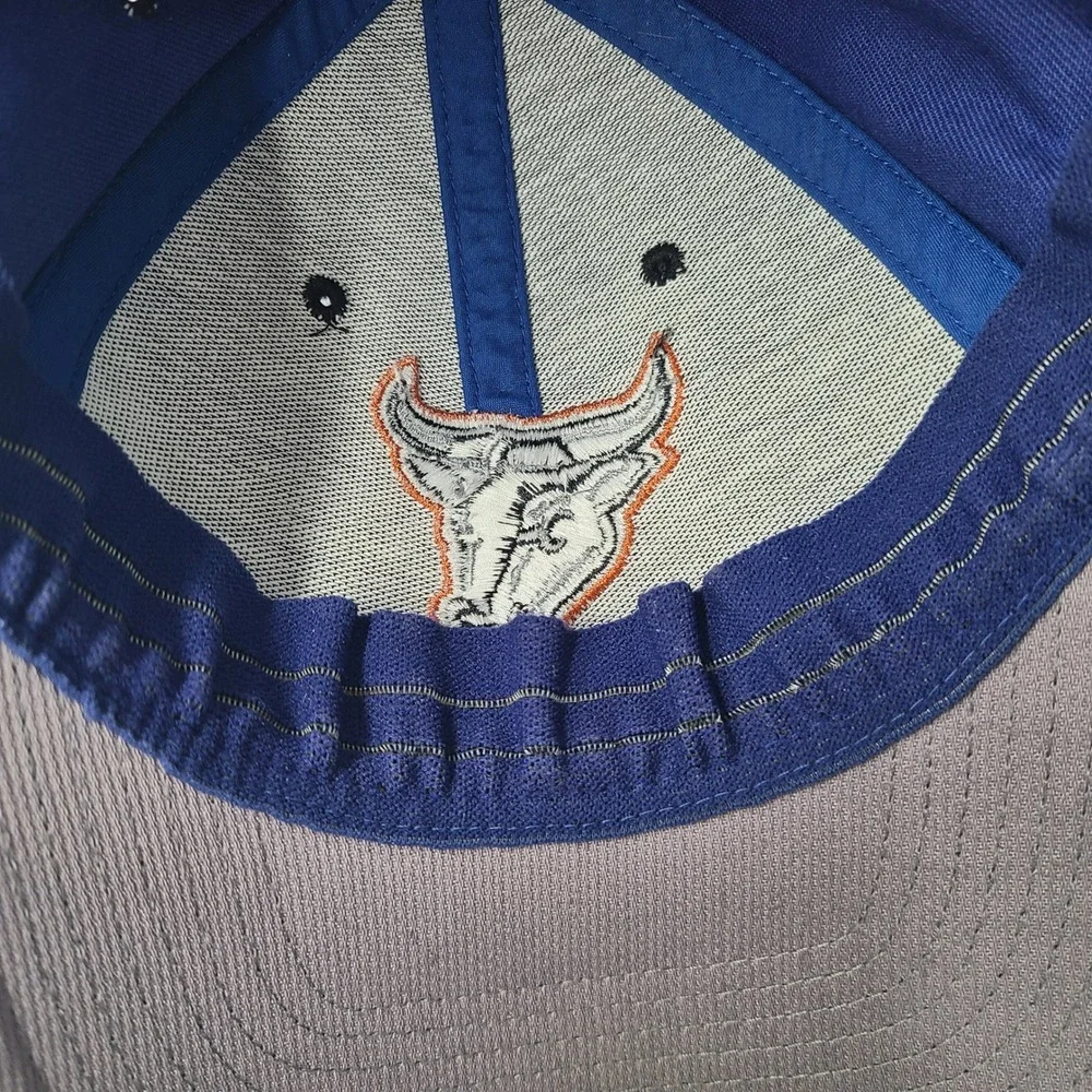Vintage Durham Bulls Hat Fitted (Seems M-L) Twins Enterprise Blue Black MiLB Men